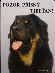 Tibetská doga 3