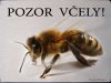 Tabulka "POZOR VČELY" Pozor včely 1