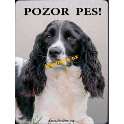 Anglický špringeršpaněl