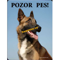 Belgický ovčák 1