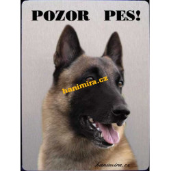 Belgický ovčák 2