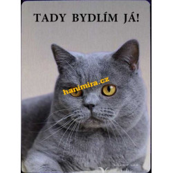 Britská kočka