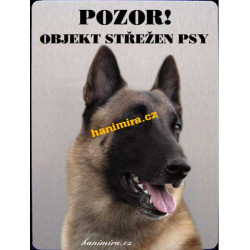 Belgický ovčák 3