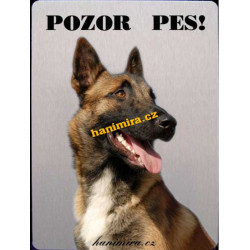 Belgický ovčák 4