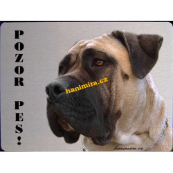 Boerboel Búrský buldok