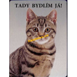 Egyptská mau