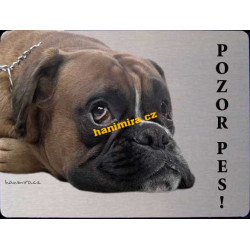 Boxer 2