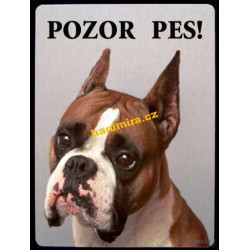 Boxer trikolor