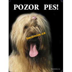 Briard plavý