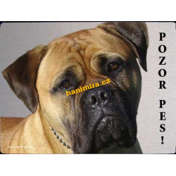 Bullmastif