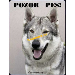 Československý vlčák 1
