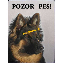 Chodský pes