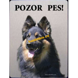 Chodský pes 1