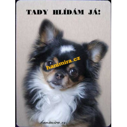 Čivava 2