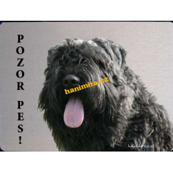 Flanderský bouvier 2