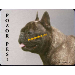 Francouzský buldog 2