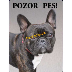 Francouzský buldog 3