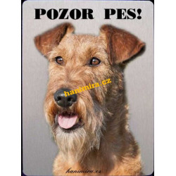 Irský teriér