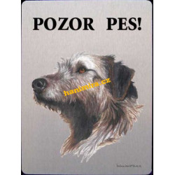Irský vlkodav