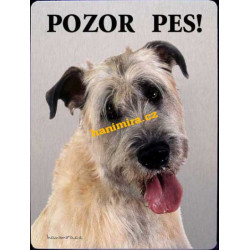 Irský vlkodav1