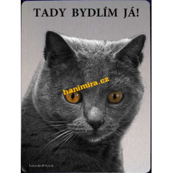 Kartouzská kočka 1