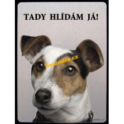 Jack Russel terier