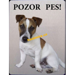 Jack Russel terier1