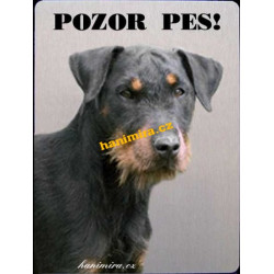 Jagdteriér1