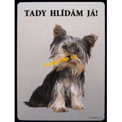 Jorkšírský teriér Yorkshire terrier