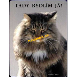 Norská lesní kočka