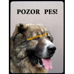 Kazašský pastevecký pes