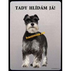 Knírač malý1