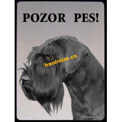 Knírač velký černý