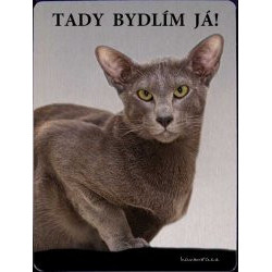 Orientální krátkosrstá kočka