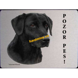 Labrador černý3