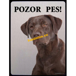 Labrador černý4