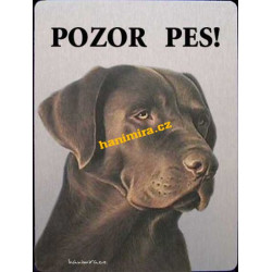 Labrador černý5