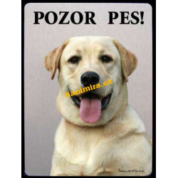Labrador retrivr