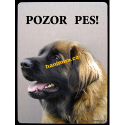 Leonberger