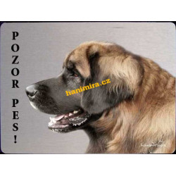 Leonberger1