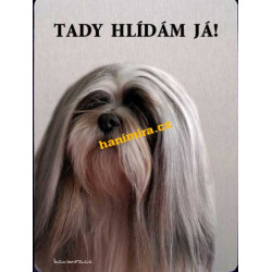 Lhasa apso