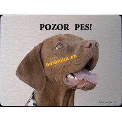 Maďarský ohař