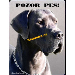 Německá doga modrá