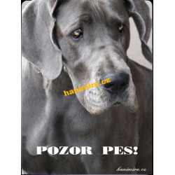 Německá doga modrá2