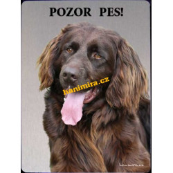 Německý dlouhosrstý ohař