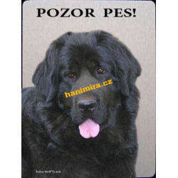 Novofundlandský pes