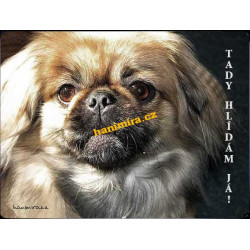 Pekinéz2