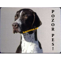 Pointer