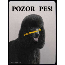 Pudl velký černý