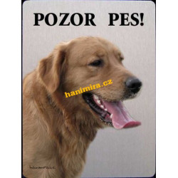 Retrívr zlatý2